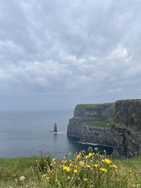 cliffs_of_moher.jpg