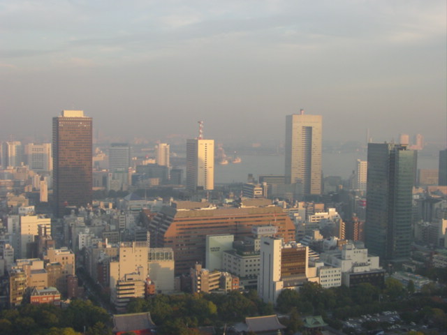 View of Japan at Tokyo Tower