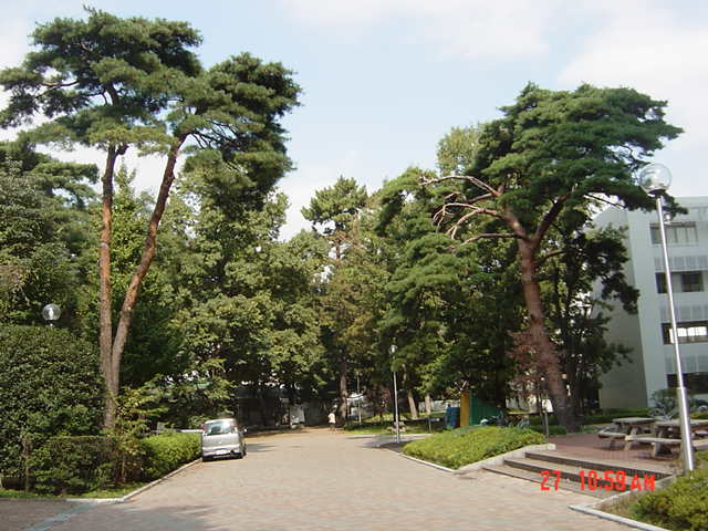 UEC Campus Scene.