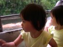 DSCN2073 * 1024 x 768 * (160KB)